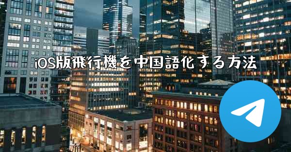 iOS版飛行機を中国語化する方法