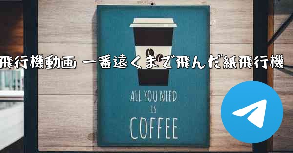 折り紙飛行機動画 一番遠くまで飛んだ紙飛行機