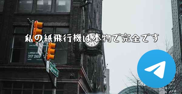 私の紙飛行機は本物で完全です