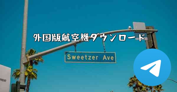 外国版航空機ダウンロード