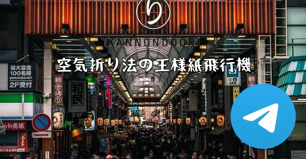 空気折り法の王様紙飛行機