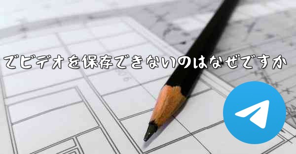 Paper Plane でビデオを保存できないのはなぜですか