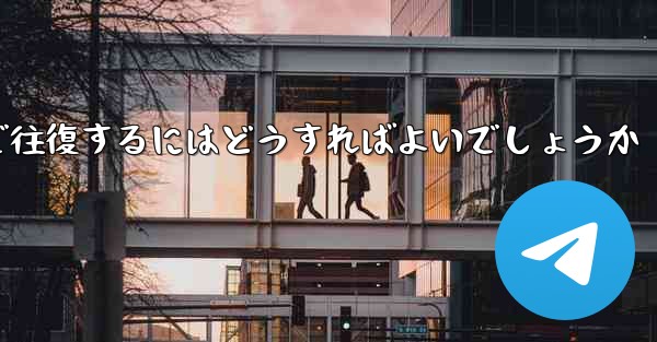 スイングプレーンを 100 割引で往復するにはどうすればよいでしょうか