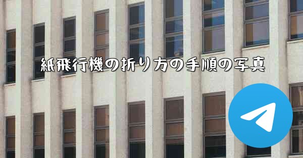 紙飛行機の折り方の手順の写真