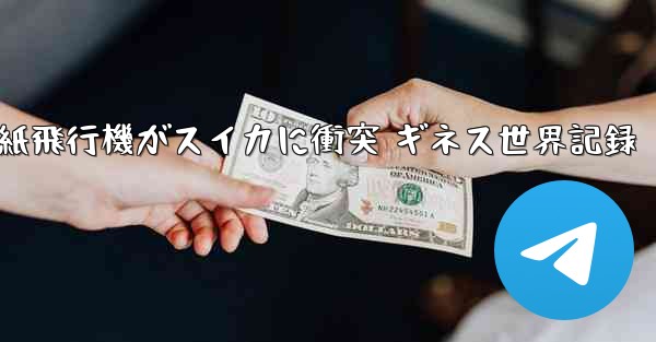 紙飛行機がスイカに衝突 ギネス世界記録