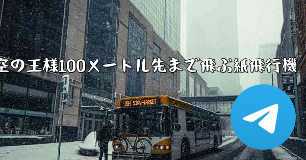 空の王様100メートル先まで飛ぶ紙飛行機