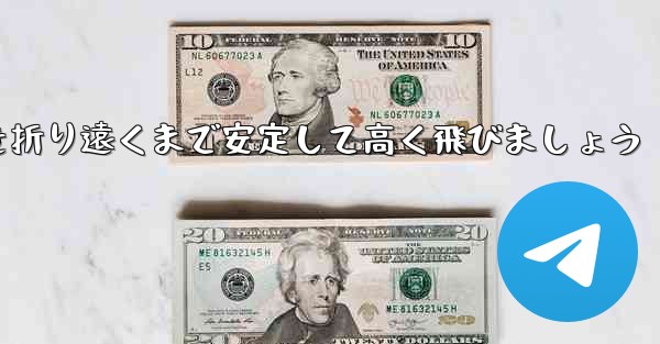 A4 の紙を使って飛行機を折り遠くまで安定して高く飛びましょう