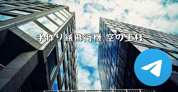 手作り紙飛行機 空の王様
