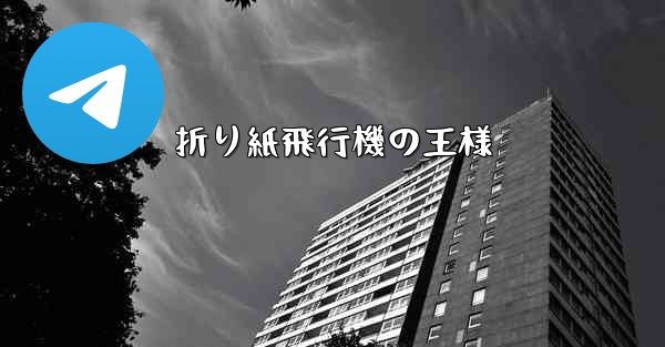 折り紙飛行機の王様