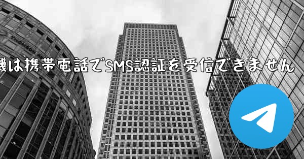 紙飛行機は携帯電話でSMS認証を受信できません