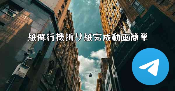 紙飛行機折り紙完成動画簡単