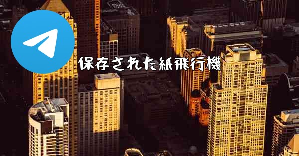 保存された紙飛行機
