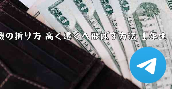 紙飛行機の折り方 高く遠くへ飛ばす方法 １年生