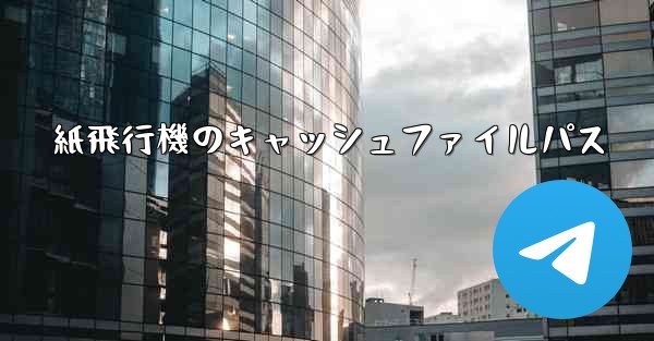 紙飛行機のキャッシュファイルパス