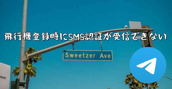 飛行機登録時にSMS認証が受信できない