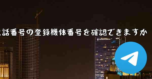 国内携帯電話番号の登録機体番号を確認できますか