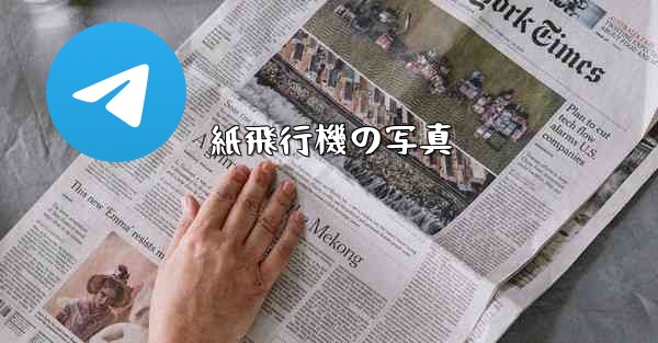 紙飛行機の写真