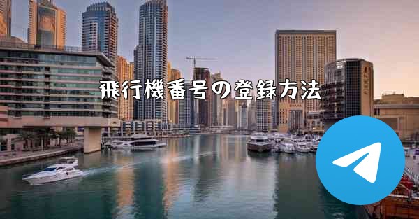 飛行機番号の登録方法