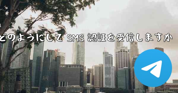 Paper Plane はどのようにして SMS 認証を受信しますか