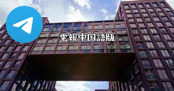 電報中国語版