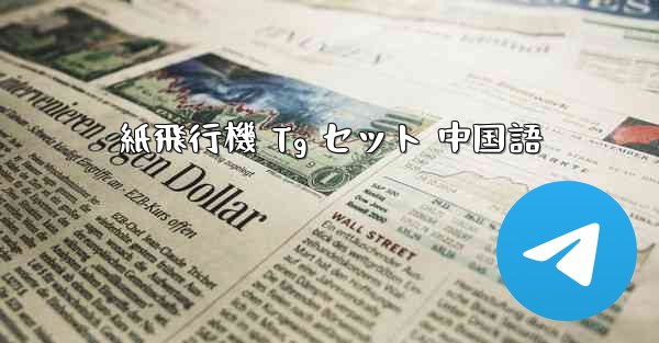 紙飛行機 Tg セット 中国語