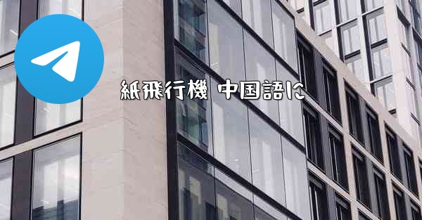 紙飛行機 中国語に