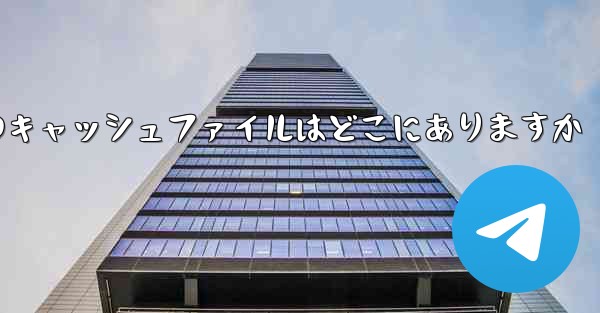 紙飛行機のキャッシュファイルはどこにありますか