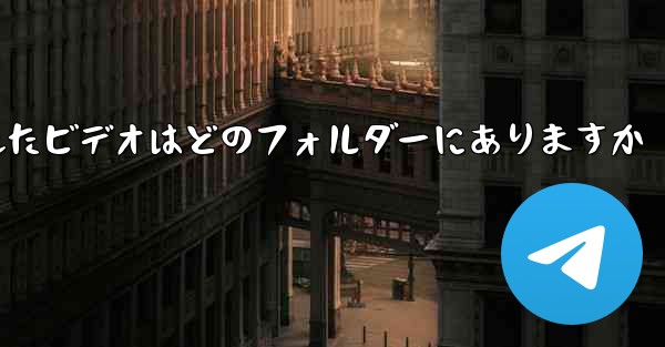 Paper Plane でキャッシュされたビデオはどのフォルダーにありますか