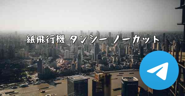 紙飛行機 タンシー ノーカット