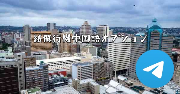 紙飛行機中国語オプション