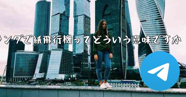 ネットスラングで紙飛行機ってどういう意味ですか