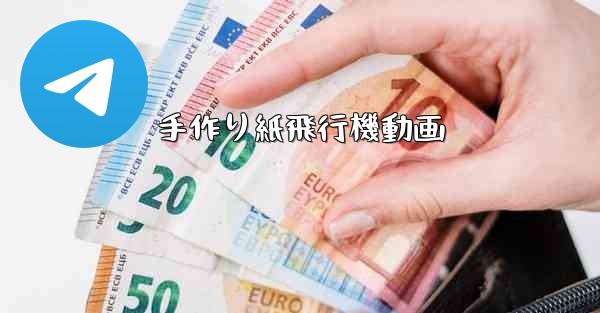 手作り紙飛行機動画