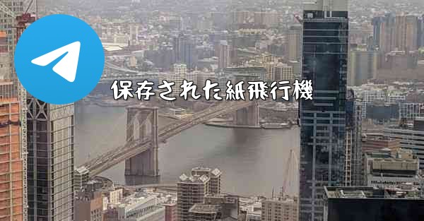 保存された紙飛行機