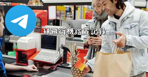 紙飛行機鑑賞記録