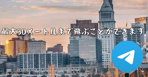 正方形の折り紙飛行機は最大30メートルまで飛ぶことができます
