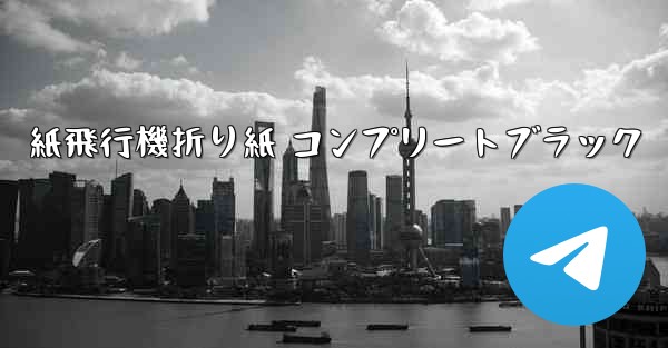 紙飛行機折り紙 コンプリートブラック