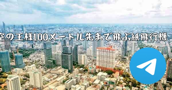 空の王様100メートル先まで飛ぶ紙飛行機
